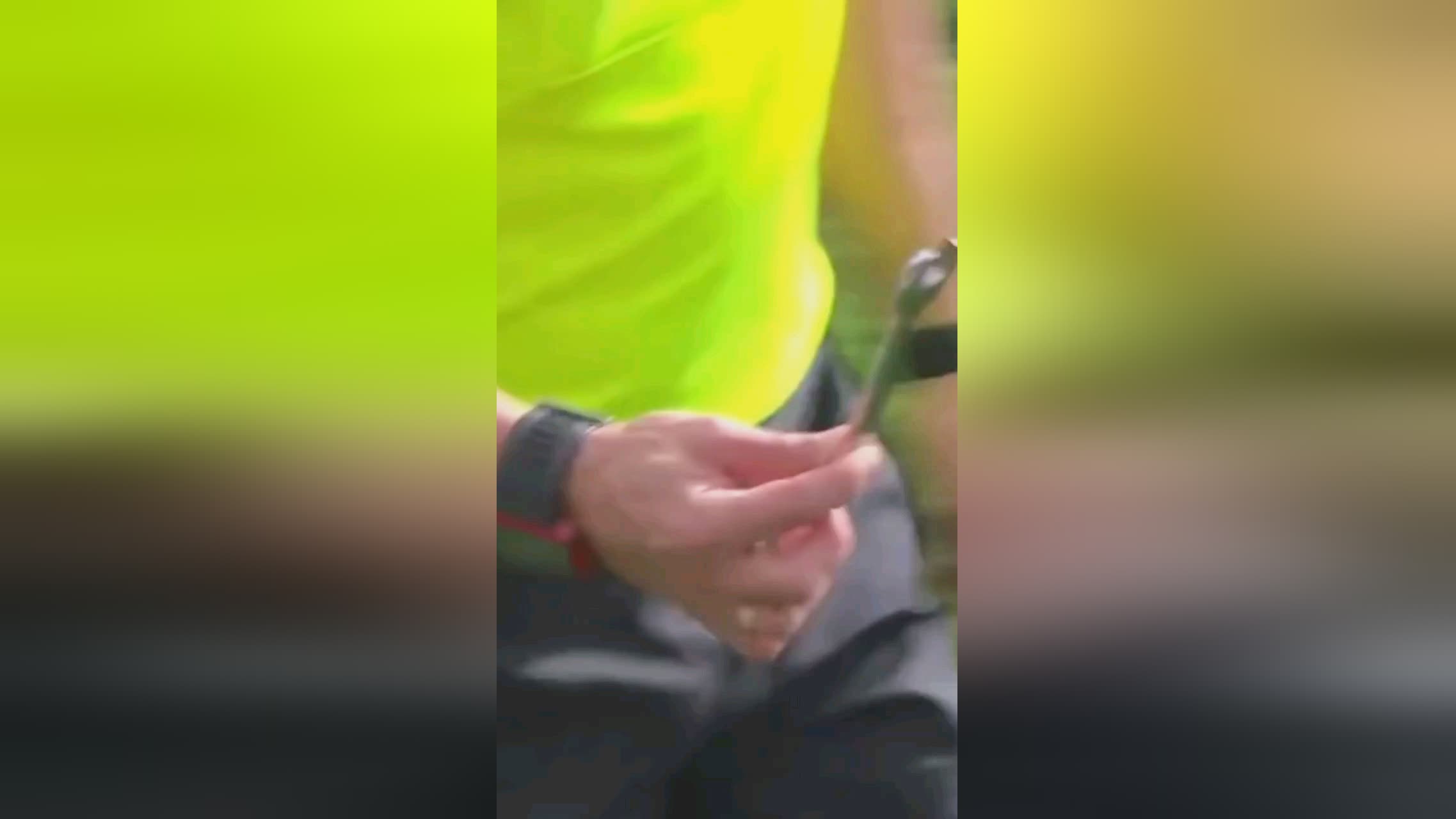 的成功操